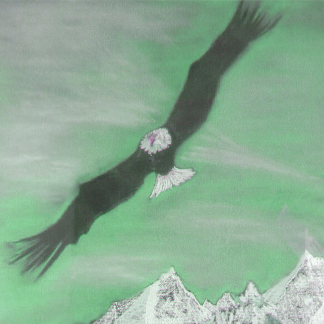 ISBN: 978-3-00-077515-4