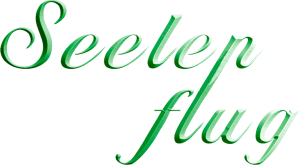 Seelenflug Autorin Martina Herchet