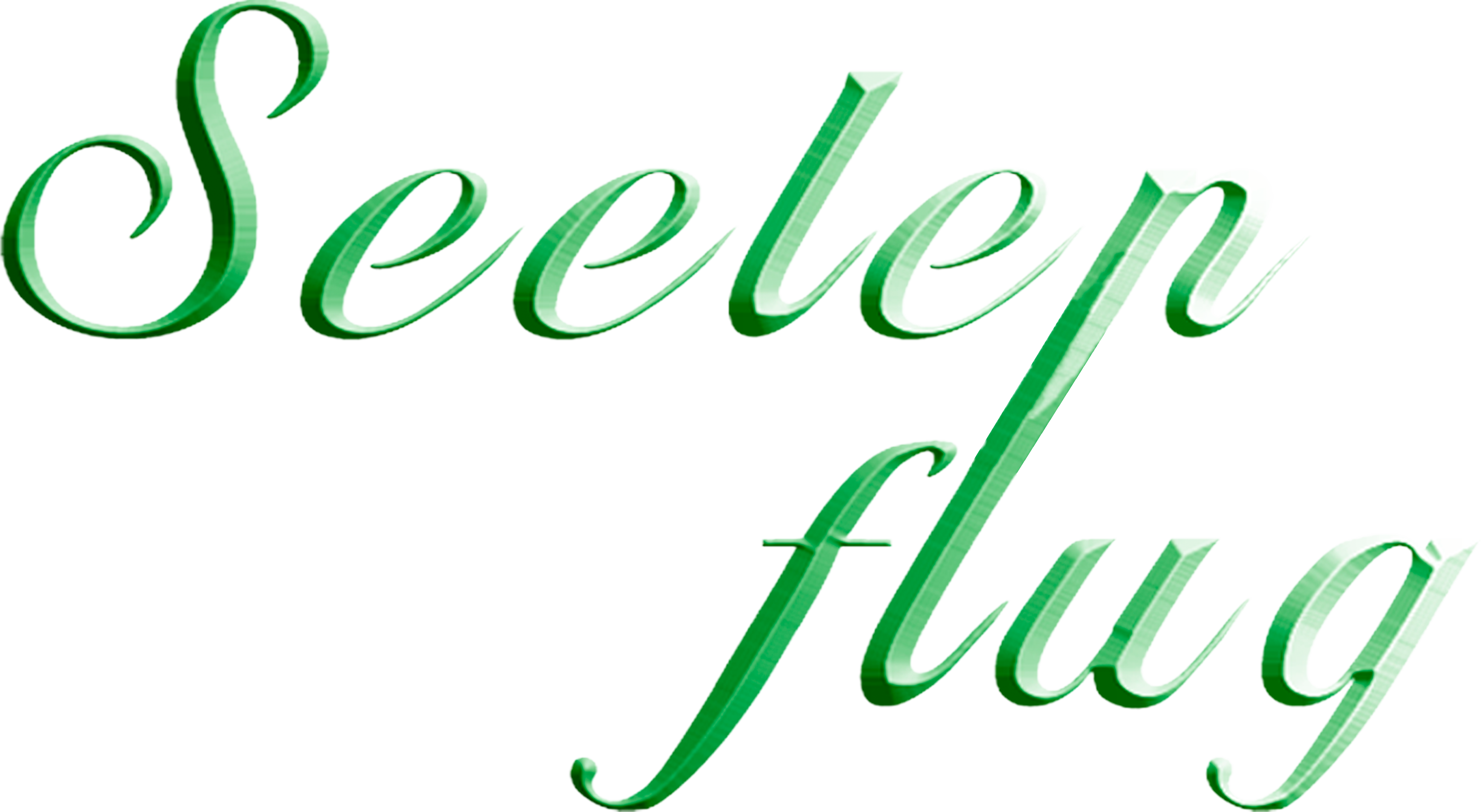 Seelenflug Autorin Martina Herchet